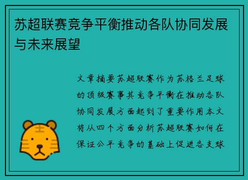 苏超联赛竞争平衡推动各队协同发展与未来展望